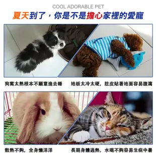 日本馬卡降溫散熱墊 MARUKAN鋁合金涼爽散熱板 寵物透氣涼墊 散熱鋁板 貓狗兔龍貓天竺鼠都適用 寵物用品 典贊創意