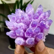 261G New Find pink PhantomQuartz Crystal Cluster MineralSpecimen