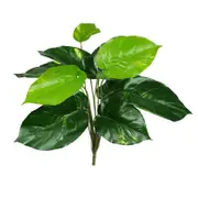 Lilly Pilly Stem - 32cm