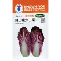 在飛比找蝦皮購物優惠-尋花趣 紅山東大白菜(Chinese Cabbage) sv