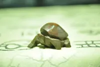在飛比找Yahoo!奇摩拍賣優惠-蘇瑞鹿  太極石雕創作  鐵丸石太極龜 6