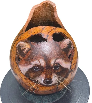 Unique Pyrography Raccoon Gourd Whiskers Tree Knothole