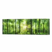 Heart Of The Forest | 150 x 50cm Stretched Canvas Print
