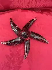 NEW FLAWLESS Unique STUDIO Glass Red Black Barnacles Crystal STARFISH SEA Figure