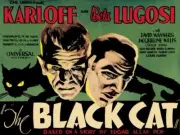 The Black Cat Movie - New Metal Sign: Bela Lugosi & Boris Karloff