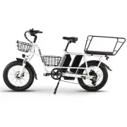[EU DIRECT] PHILODO Traveller Electric Bike w/ Baskets & Rear Rack Shelf 48V 17.5Ah Battery 750W Motor 20inch Tires 60KM