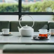 BALMUDA MoonKettle Electric Kettle with Temperature Control WHITE KPT02JP-WH