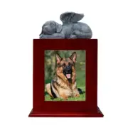 Pet Urn and Picture Frame Loving Dog with Wing Figurine Remembrance Sympathy Dog