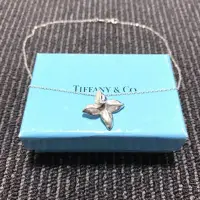 在飛比找蝦皮購物優惠-極美品 絕版品 TIFFANY&Co. 蒂芬妮 四葉草 近全