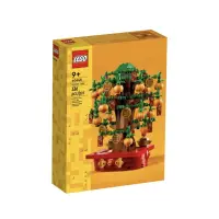 在飛比找蝦皮購物優惠-LEGO 樂高 40648 金錢樹