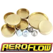 Aeroflow Welsh Plug Kit Brass Ford 302 351 Cleveland V8 AF3000-1001 (for: Ford)
