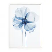 Blue Watercolor Flower Fine Art Canvas Print