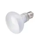 Heat Lamp Temperature Controller Reptile Halogen Bulb Basking Light UVA Light