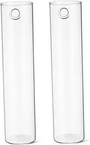 POPETPOP 2Pcs Hanging Glass Planters Elegant Wall Vases for Indoor Decor Sleek Cylinder Design for Floral Arrangements Glass Tubes for Propagated Plants and Buds
