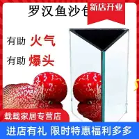 在飛比找樂天市場購物網優惠-泰金玩具紅馬火氣水族箱馬騮雙面三角魚缸攻頭羅漢魚專用沙包鏡子