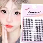 10 Rows Wipy Fluffy Cluster Lashes 5D Mink Manga Lashes False Eyelashes Women