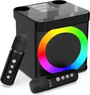 Karaoke Machine for Adults and Kids with 2 Wireless Microphones,Portable Blue...