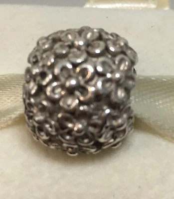 New Genuine Pandora Charm Large Perfect Posies. 790868