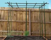 Plant Support Framework