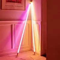 在飛比找蝦皮購物優惠-~熱銷~新款丹麥HAY Neon Tube LED 燈管 彩