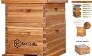 10-Frames Complete Beehive Kit, 100% Beeswax Coated Bee Hive Includes Beehive