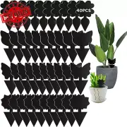 40 PCS Sticky Traps, Sticky Fruit Fly and Plant Gnat Bug Trap for Indoor/Outdoor