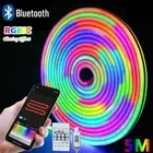Bluetooth RGBIC Neon Strip Light 5V Neon Led Strip Lights Smart 1M 2M 3M 5M Wate