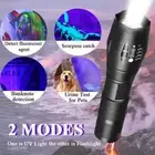 2Mode UV Ultra Violet Light & Flashlight Blacklight 395nm Inspection Torch Zoom