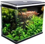52L Curved Glass Aquarium Fish Tank with 7W RGB LED Light, 8W 500L/H Filter Pump