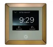 Reduced! Steamist 450BB Control Kit in Brushed Brass, Delta #EP103437BB