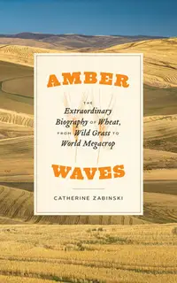 在飛比找誠品線上優惠-Amber Waves: The Extraordinary