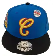 Chicago White Sox Baseball Hat Mitchell & Ness 1989 Pin Topps Chrome Size 7 3/8