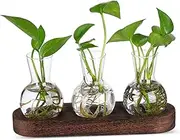 UPKOCH 1 Set Glass Propagation Station with Base Hydroponic Pot for Desk Clear Terrarium for Home Decoration Versatile Centerpiece Vases for Table Create Indoor Oasis