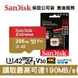 在飛比找遠傳friDay購物精選優惠-SanDisk Extreme 256GB microSDX