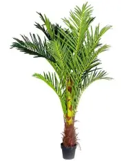 [Living Today] Phoenix Palm Artificial Plant 180cm