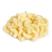Display Faux Food Prop Macaroni New