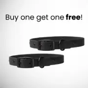 SMALL Waterproof Diggs Dog Collars BLACK New w/ tags cats and dogs