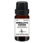 【女巫藥草園】喜瑪拉雅雪松精油 / HIMALAYA CEDAR OIL (CEDRUS DEODARA) / 喬夏嚴選