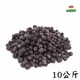 【誠麗莓果】IQF急速冷凍加拿大野生小藍莓10公斤