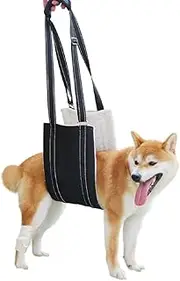 Dog Sling for Back Legs, Comfortable Dog Lift Hind Leg Support to Help Large Dogs Climbing Stairs, Dogs Harness Assisted Rehabilitation for Injured or Elderly Dogs (Black, M)
