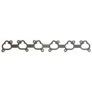Aunger Inlet Manifold Gasket Ford Barra 182 I6 Dohc Vct - AIMS158