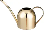 Mini Watering Can Indoor for Kids House Desk Office Plants Bonsai Stainless Steel (15oz/450ml)