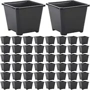 Seedling Starter Pots,50x Square Growing Pots | Germination Trays, Microgreenings Planter for Indoor and Outdoor