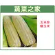 【蔬菜之家】G06.糯玉米(玉美珍)種子 20顆種子 園藝 園藝用品 園藝資材 園藝盆栽 園藝裝飾