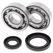 Crank Bearing & Seal Kit~1991 Suzuki RM250 All Balls 24-1019