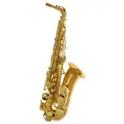 Yanagisawa A-WO2 Alto Saxophone | Bronze I Made in Japan