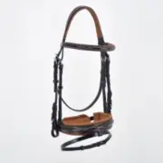 Time Rider : Coloured Snaffle Bridle – Pull Back Noseband – Cob Full
