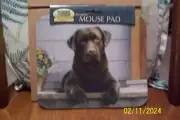 Chocolate Labrador Mouse Pad - NEW