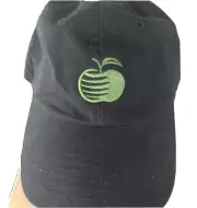New Bulk Lot 24 Hats Jack Daniels Tennessee Apple Whiskey Strapback Cap 1 Case