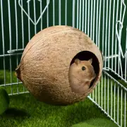 Parrot Coconut Shell Nest Pet Bird Nest Hamster Squirrel Breeding Nest Canary La